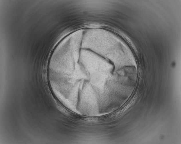 X0000116641194201001111201