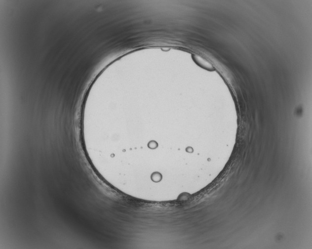 X0000116641195201001111201