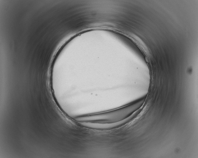 X0000116641196201001111201