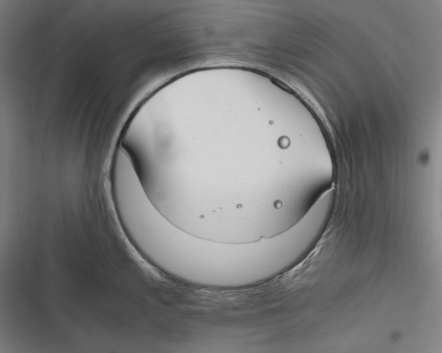 X0000116641197201001111201