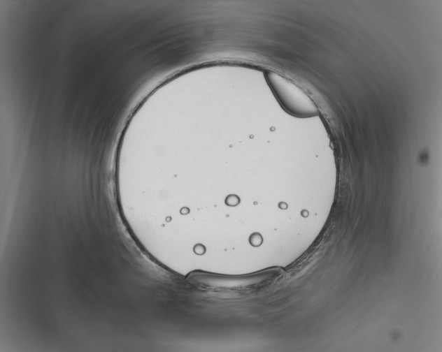 X0000116641199201001111201