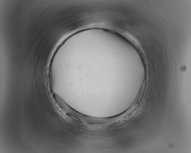 X0000116641200201001111201