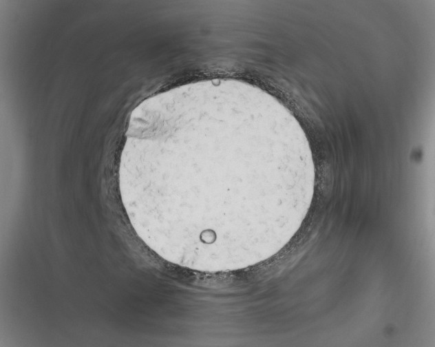 X0000116641201201001111201