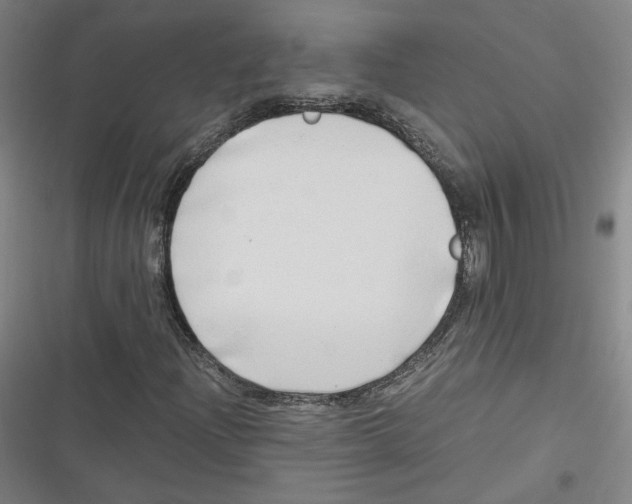 X0000116641204201001111201