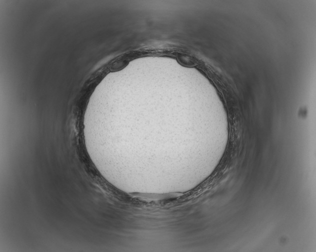 X0000116641206201001111201