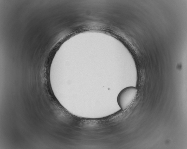 X0000116641211201001111201