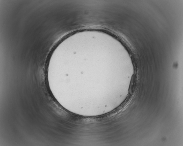 X0000116641212201001111201