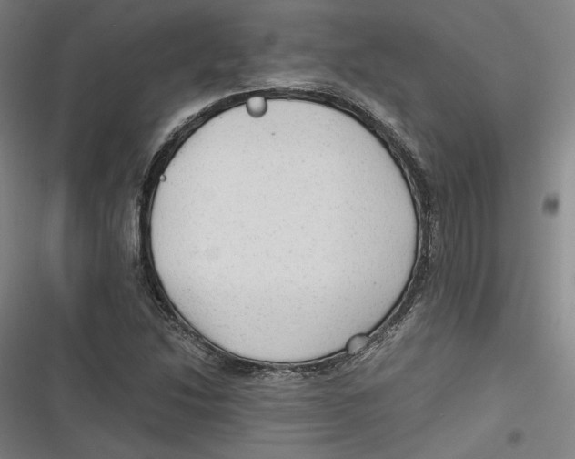 X0000116641214201001111201