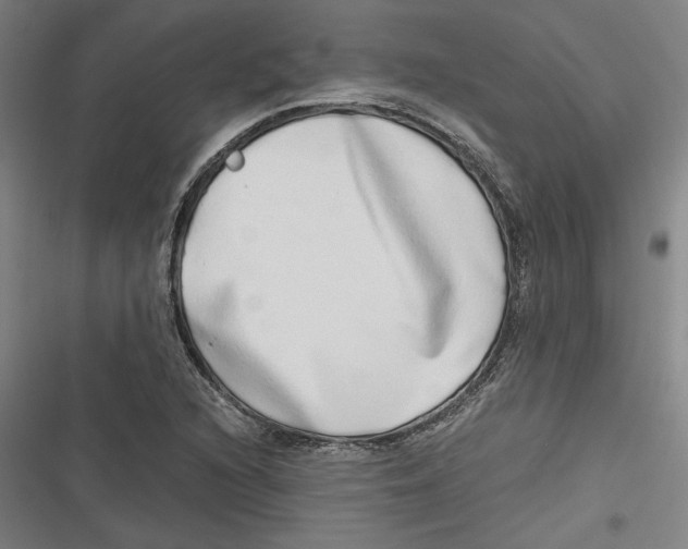 X0000116641216201001111201