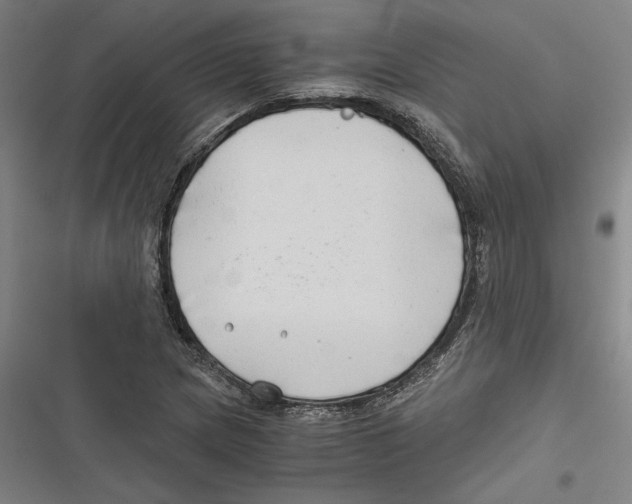 X0000116641217201001111201