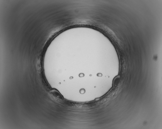 X0000116641218201001111201