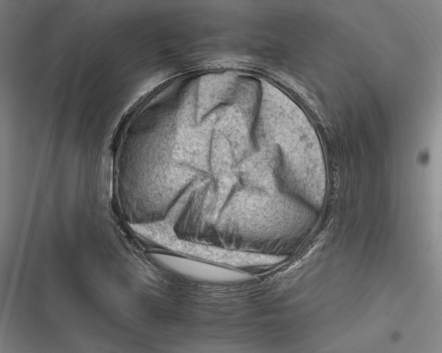 X0000116641219201001111201