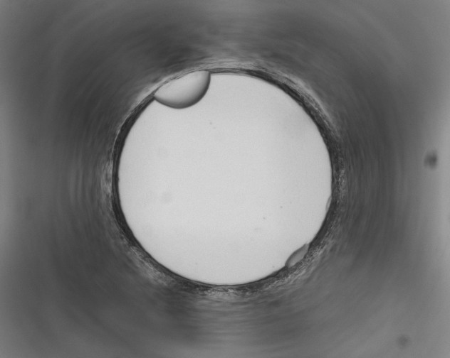 X0000116641220201001111201