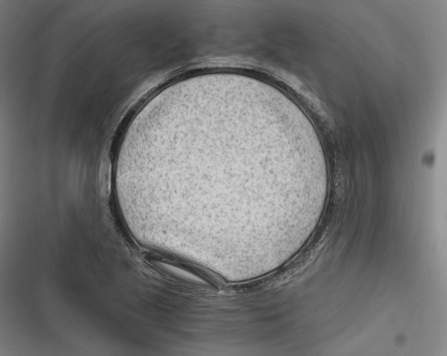 X0000116641221201001111201