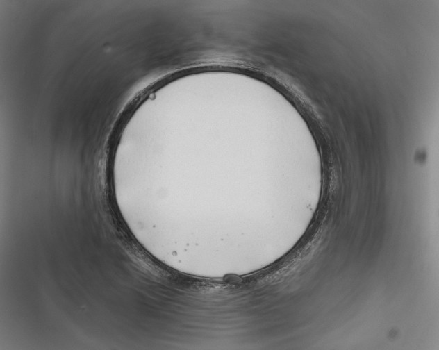 X0000116641222201001111201