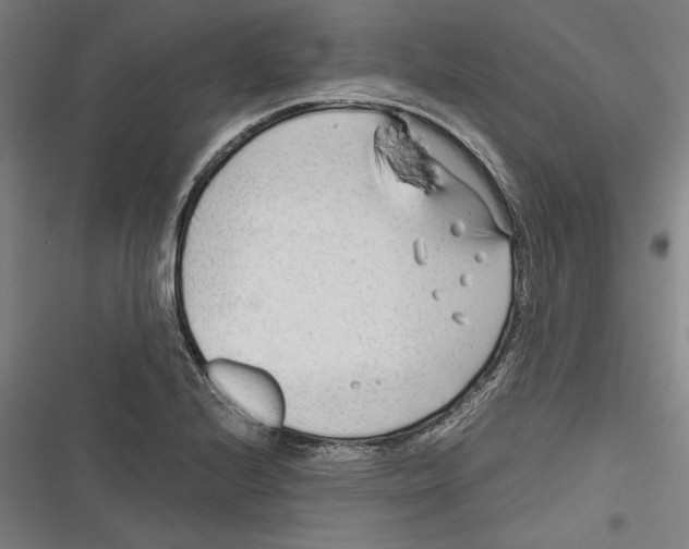 X0000116641224201001111201