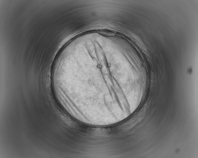 X0000116641226201001111201