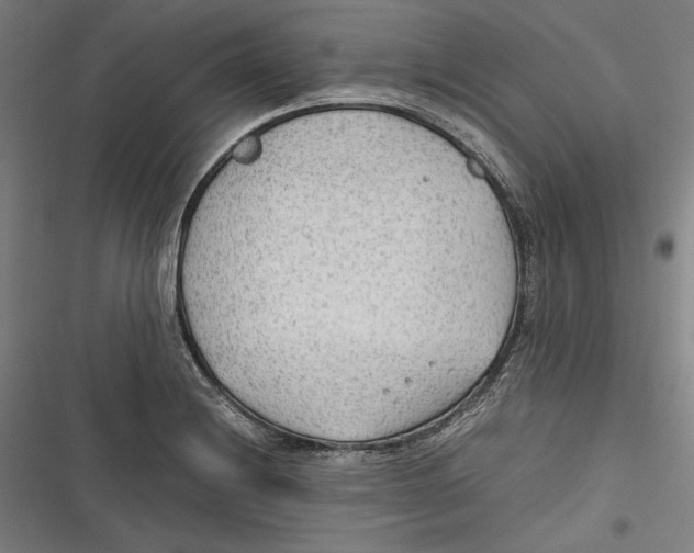 X0000116641228201001111201