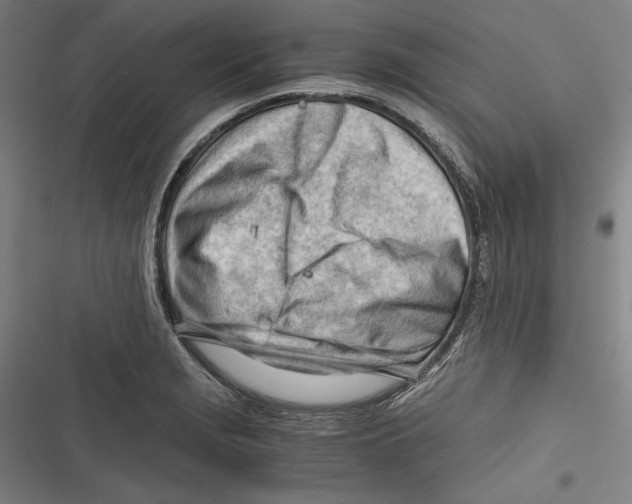 X0000116641229201001111201