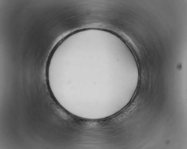 X0000116641230201001111201