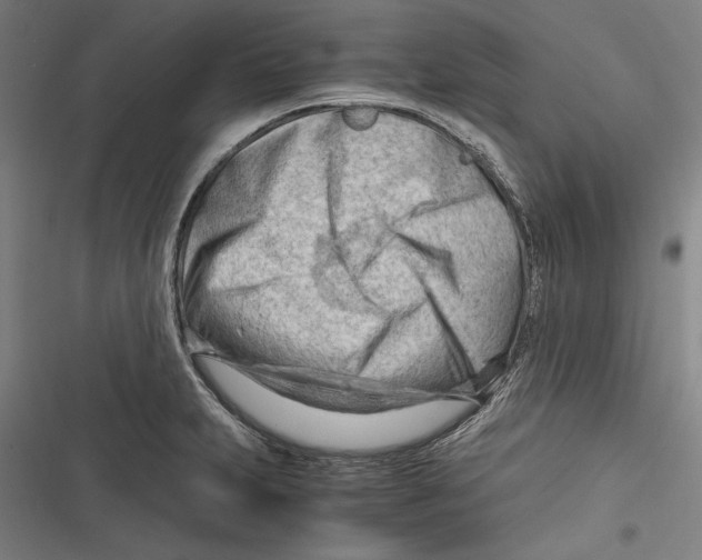 X0000116641231201001111201