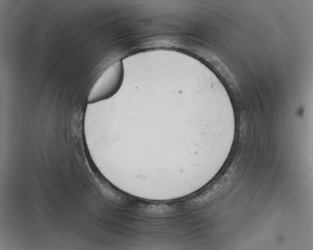 X0000116641233201001111201