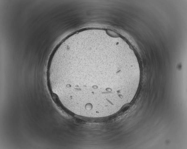 X0000116641237201001111201