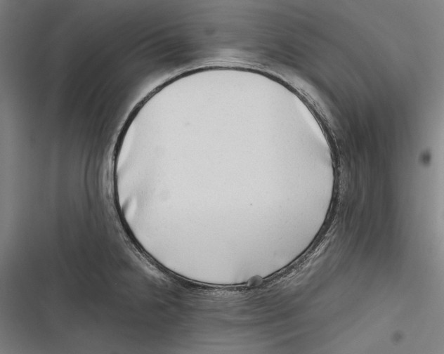 X0000116641238201001111201