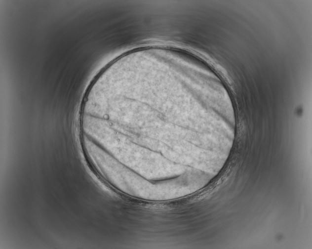 X0000116641239201001111201