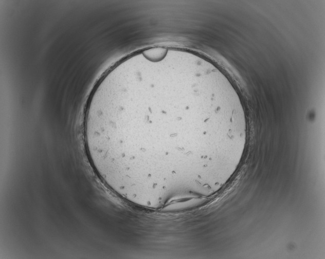 X0000116641240201001111201