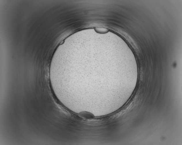 X0000116641241201001111201