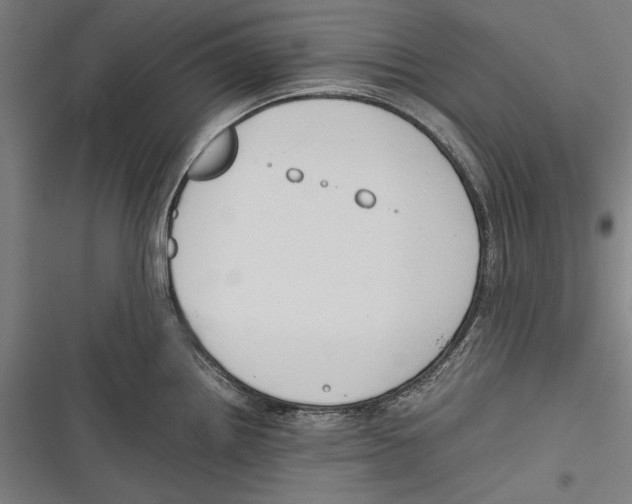 X0000116641242201001111201