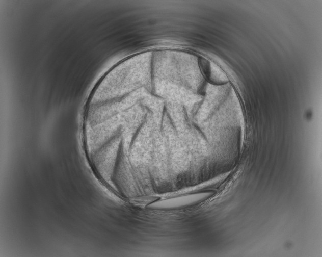 X0000116641243201001111201