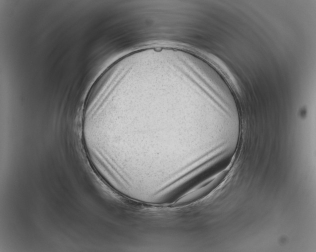 X0000116641244201001111201