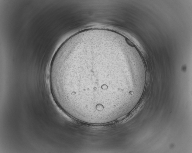 X0000116641247201001111201