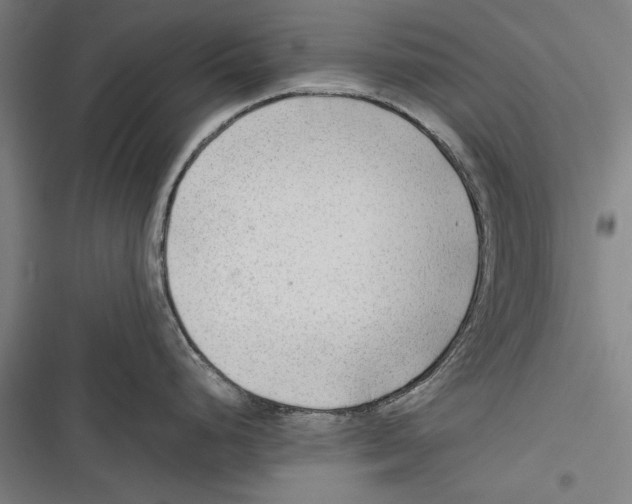 X0000116641248201001111201