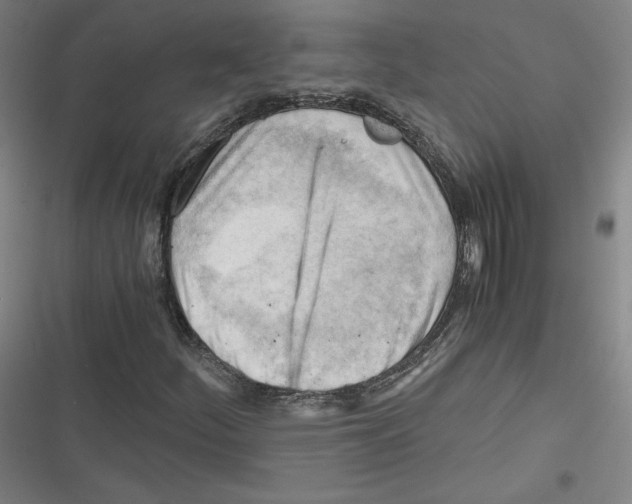 X0000116641252201001111201