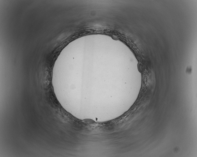 X0000116641253201001111201