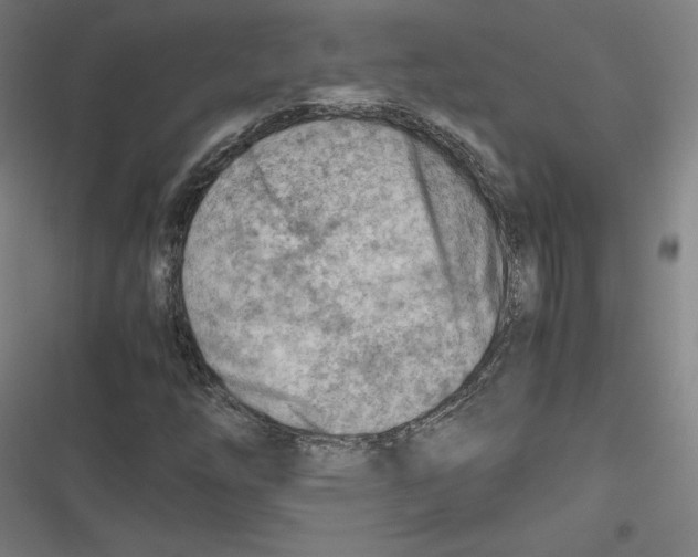 X0000116641254201001111201