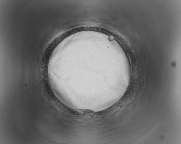 X0000116641255201001111201