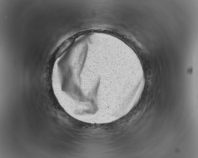 X0000116641256201001111201