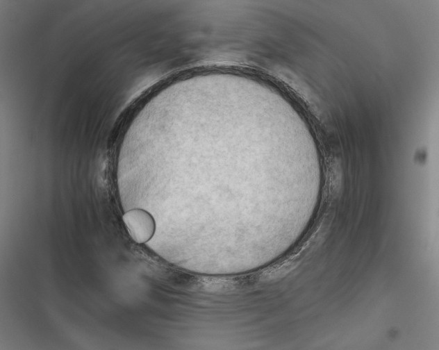 X0000116641258201001111201