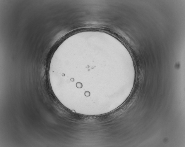 X0000116641259201001111201