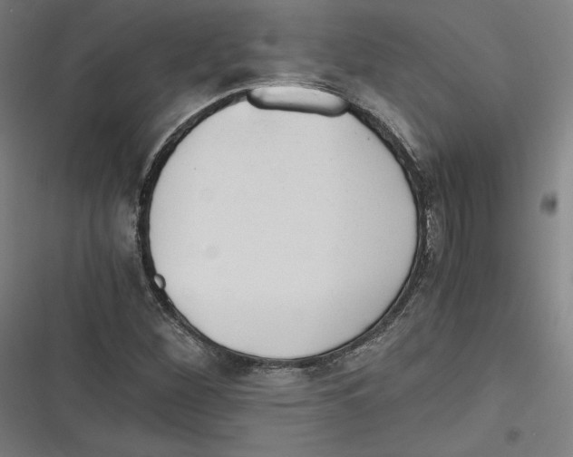 X0000116641260201001111201