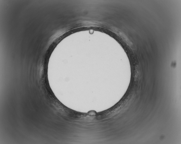 X0000116641261201001111201