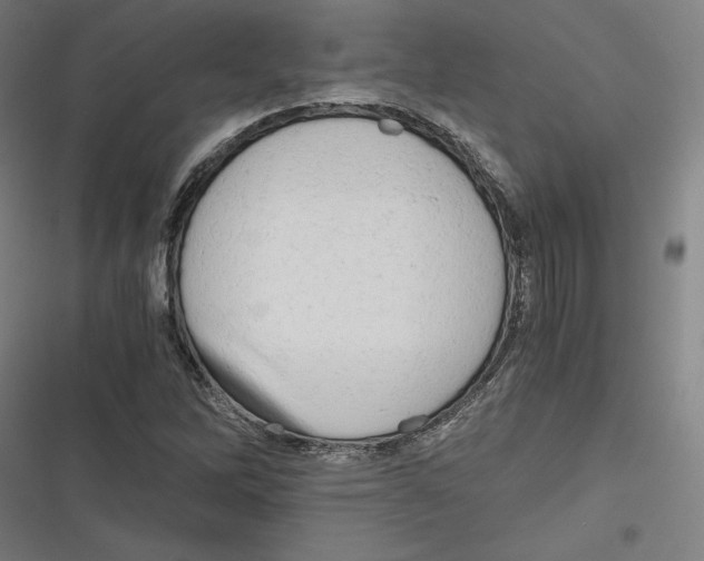 X0000116641262201001111201