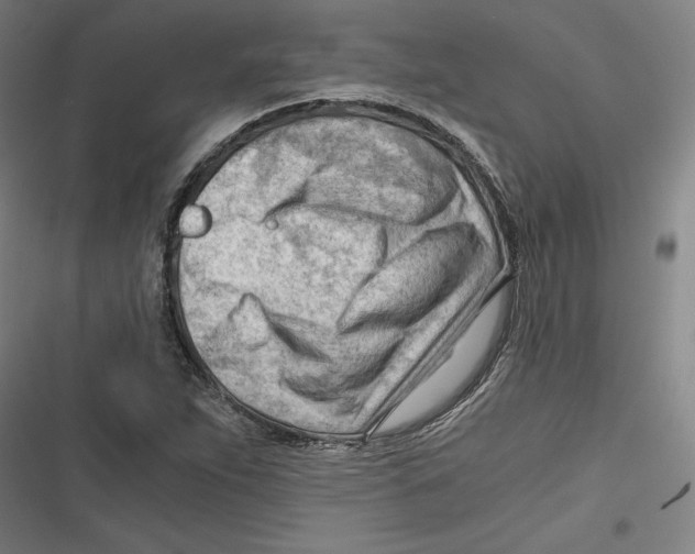 X0000116641263201001111201