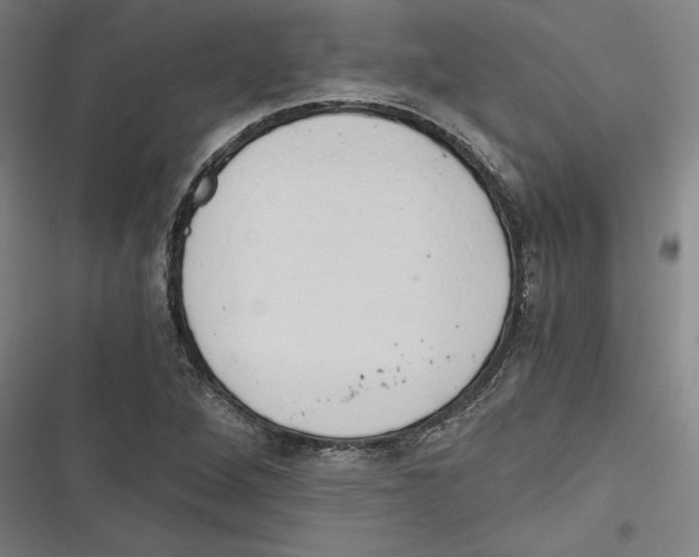 X0000116641264201001111201