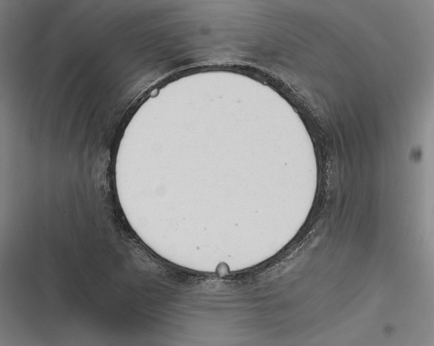 X0000116641265201001111200