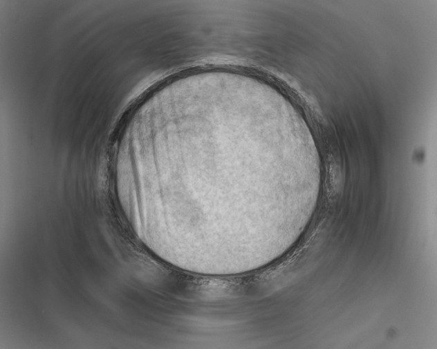 X0000116641266201001111200